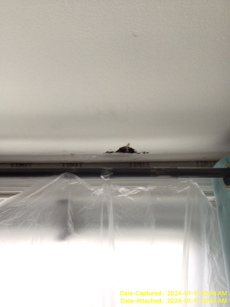 Roof Leak causing water damage in Abington Township PA 19001 home
