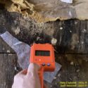 mold inspection and testing in Bensalem PA 19020 home