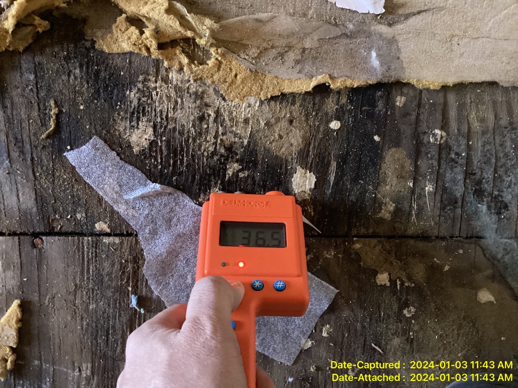 mold inspection and testing in Bensalem PA 19020 home
