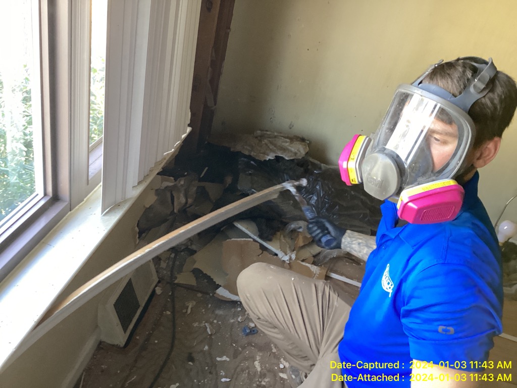 Mold Remediation Service in Bensalem PA 19020 home