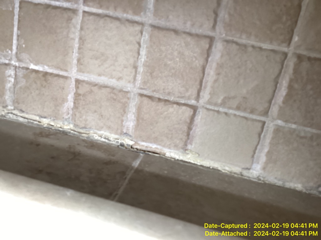 Shower grout missing source of water damage in Warminster Township, Pa 18974 home