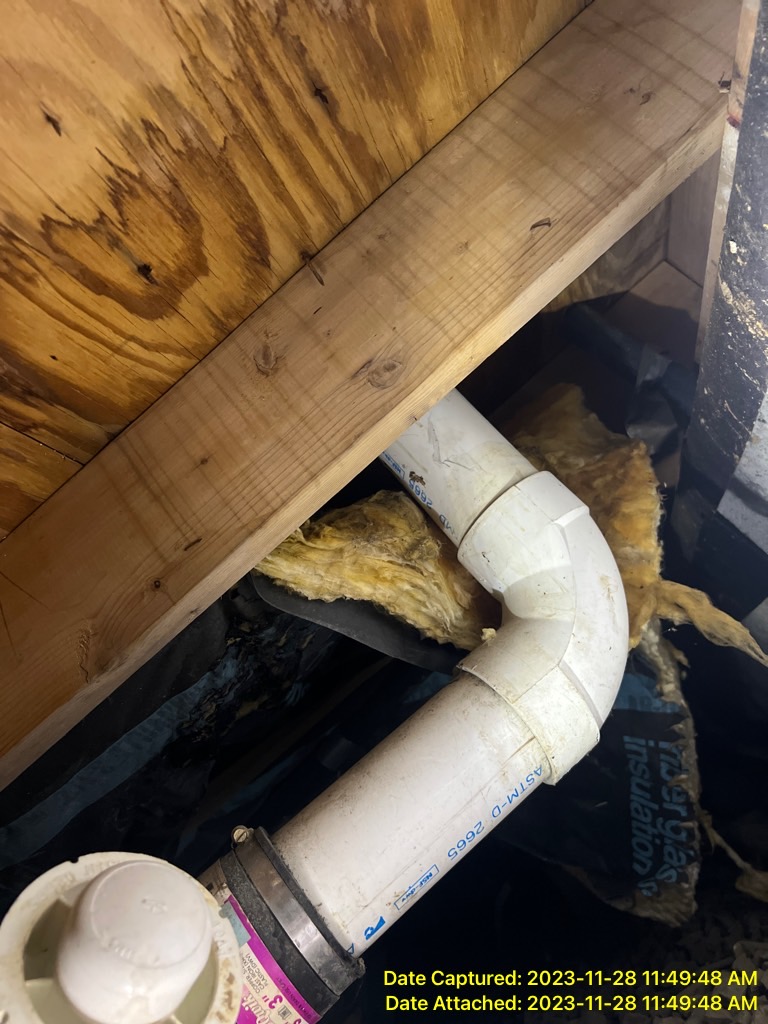 water damage and mold inspection in Andalusia, Pa 19020 in Bucks County